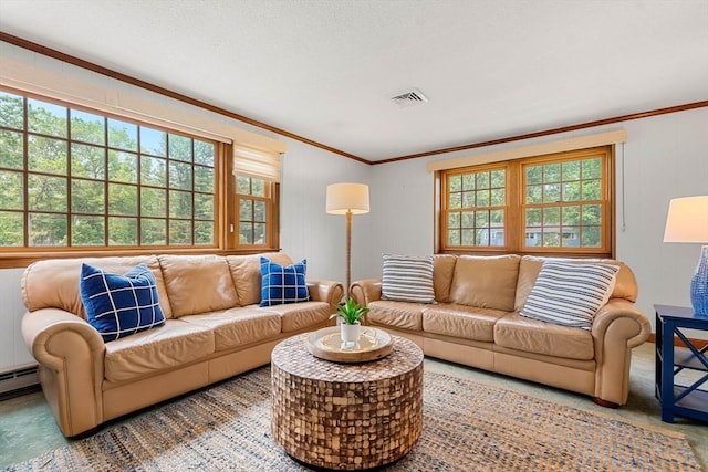 6 Lancaster Pl, Andover, MA 01810 - living area with plenty of natural light and crown molding