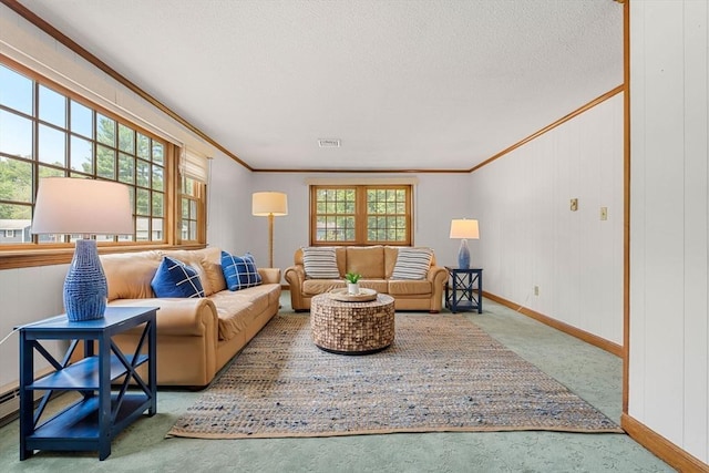 6 Lancaster Pl, Andover, MA 01810 - living area with ornamental molding, baseboards, carpet, and a textured ceiling