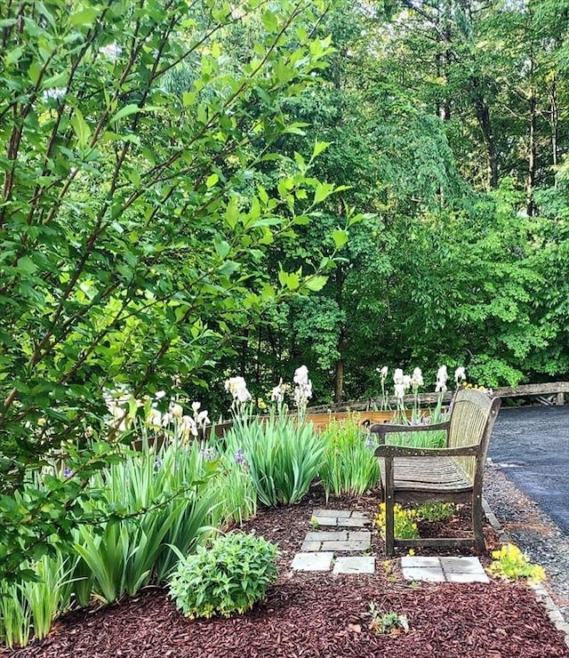 view of home's community