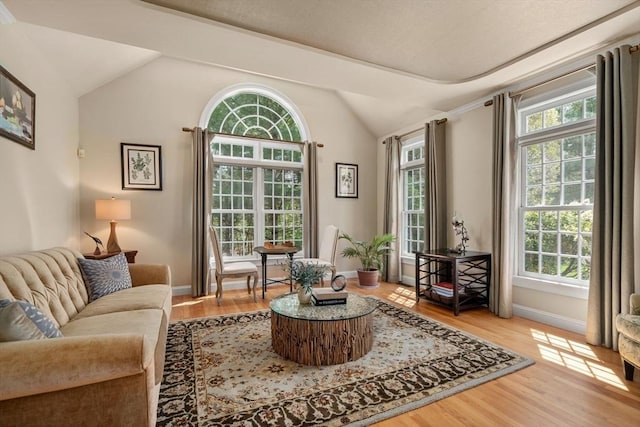 living area featuring vaulted ceiling, healthy amount of natural light, and wood finished floors