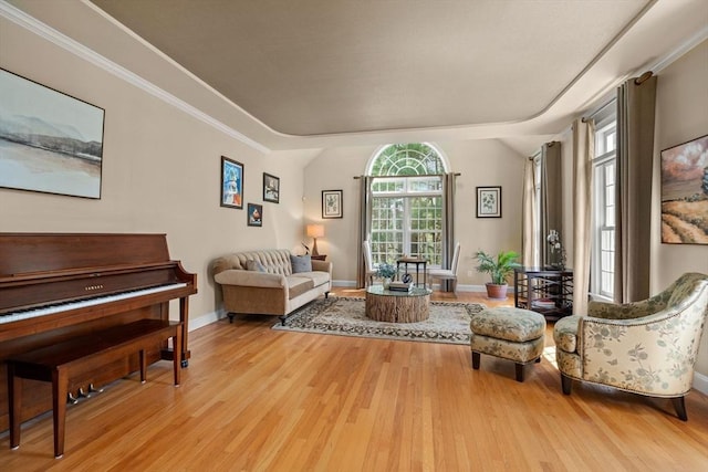 sitting room with light wood finished floors, baseboards, and vaulted ceiling