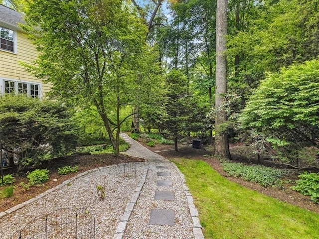 234 Lowell Rd, Wellesley, MA 02481 - view of yard