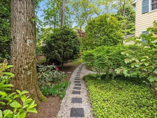 234 Lowell Rd, Wellesley, MA 02481 - view of yard