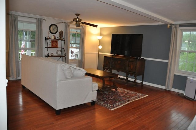 34 Liberty Ln, Ashburnham, MA 01430 - living area featuring a ceiling fan, wood finished floors, ornamental molding, and baseboards