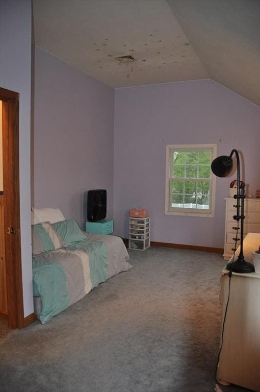 34 Liberty Ln, Ashburnham, MA 01430 - bedroom with carpet flooring, lofted ceiling, and baseboards