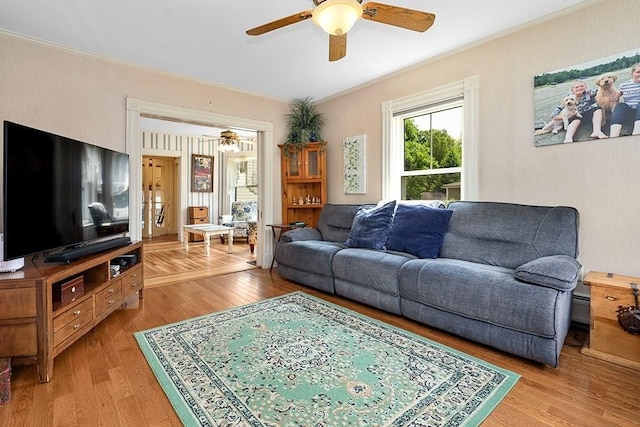 311 Main St, Franklin, MA 02038 - living area with a ceiling fan, crown molding, light wood-style flooring, and a baseboard radiator