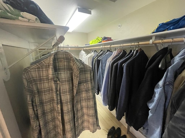 spacious closet with light wood-type flooring