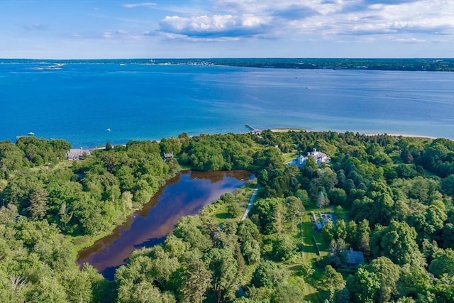 bird's eye view featuring a water view and a view of trees