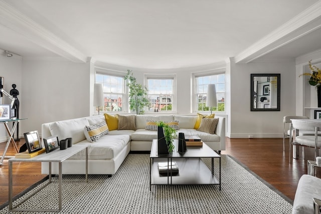 living room featuring hardwood / wood-style floors, ornamental molding, and a healthy amount of sunlight