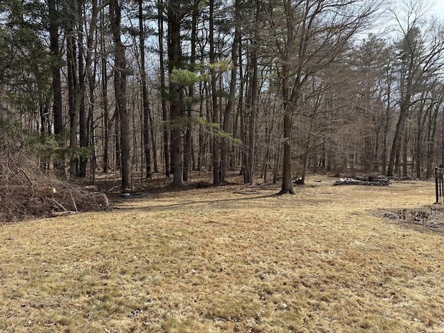 view of yard with a forest view