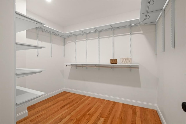 walk in closet with light wood finished floors
