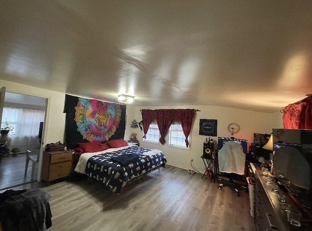 95 Prospect Street Ext, Westfield, MA 01085 - bedroom with wood finished floors and lofted ceiling