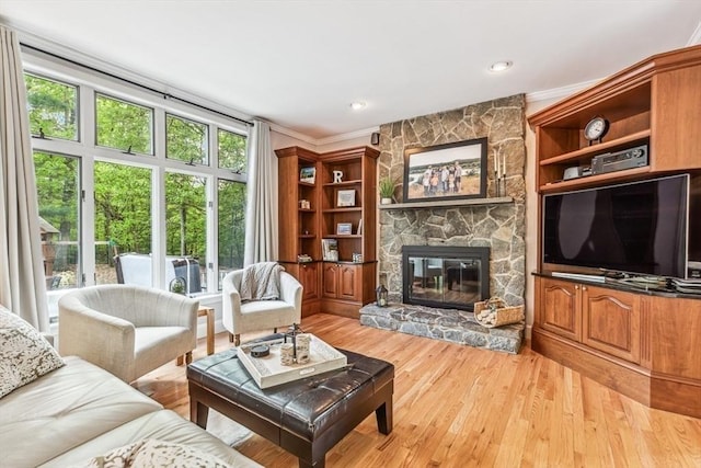 225 Walker St, Seekonk, MA 02771 - living area featuring ornamental molding, a stone fireplace, and light wood-type flooring