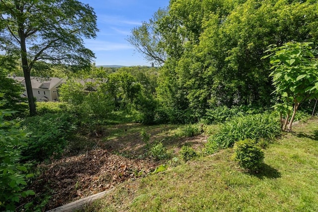 110 Bigelow St, Boston, MA 02135 - view of yard
