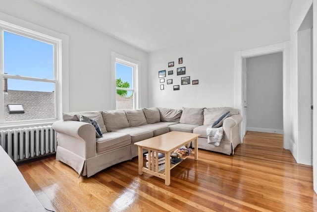 11 Barr St, Salem, MA 01970 - living room featuring radiator heating unit and light wood-type flooring