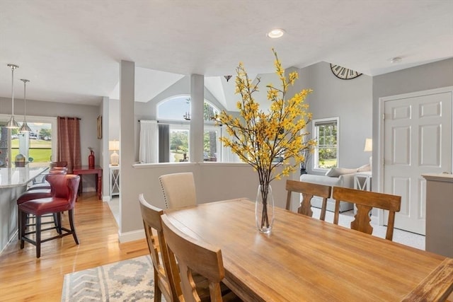 dining area featuring a healthy amount of sunlight and light hardwood / wood-style flooring