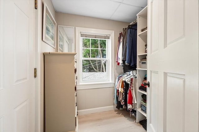 21 Minot St Unit 2A, Boston, MA 02122 - walk in closet featuring light wood-type flooring