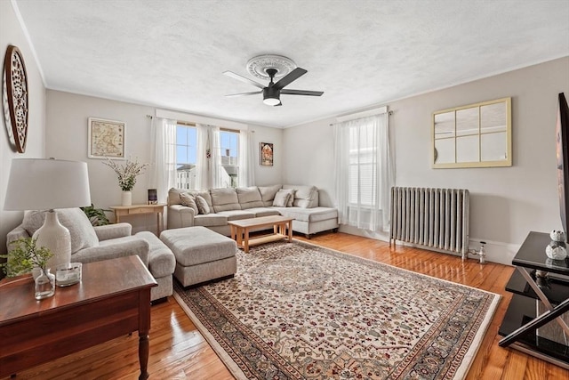 21 Minot St Unit 2A, Boston, MA 02122 - living area with radiator heating unit, a ceiling fan, and light wood-type flooring