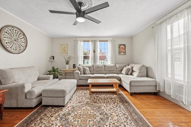 21 Minot St Unit 2A, Boston, MA 02122 - living room featuring light wood-type flooring, ceiling fan, ornamental molding, and a textured ceiling
