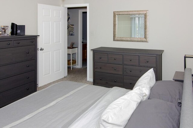 51 Pinecrest Dr Unit 51, Chicopee, MA 01020 - bedroom with carpet floors