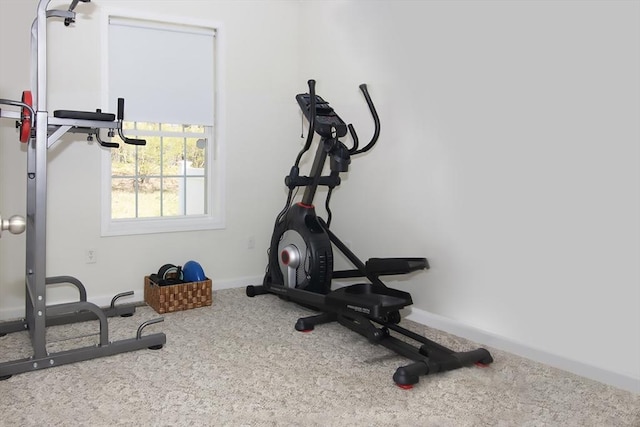 51 Pinecrest Dr Unit 51, Chicopee, MA 01020 - exercise area featuring carpet and baseboards