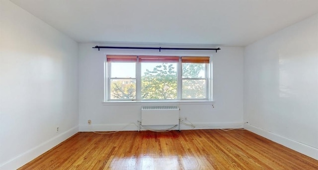 461 Arborway Unit 2, Boston, MA 02130 - empty room featuring plenty of natural light, light wood-style floors, and baseboards