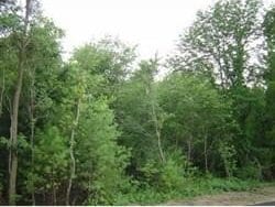 0 Richard St, Raynham MA, 02767 land for sale