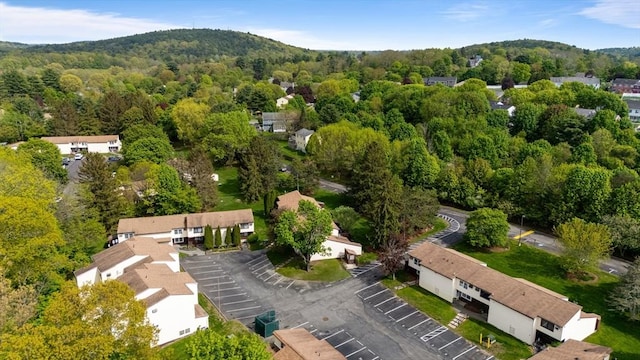 27 Mason Ct Unit 27, Amesbury, MA 01913 - aerial overview of property's location featuring a forest