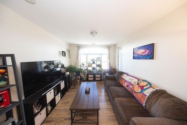 living room with wood-type flooring