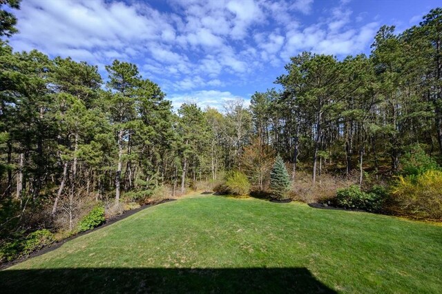 86 Pioneer Trl, Plymouth, MA 02360 - view of green lawn featuring a wooded view
