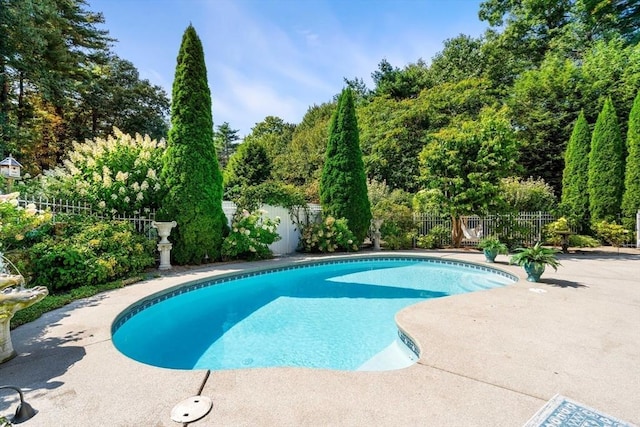view of swimming pool featuring a fenced backyard and a patio