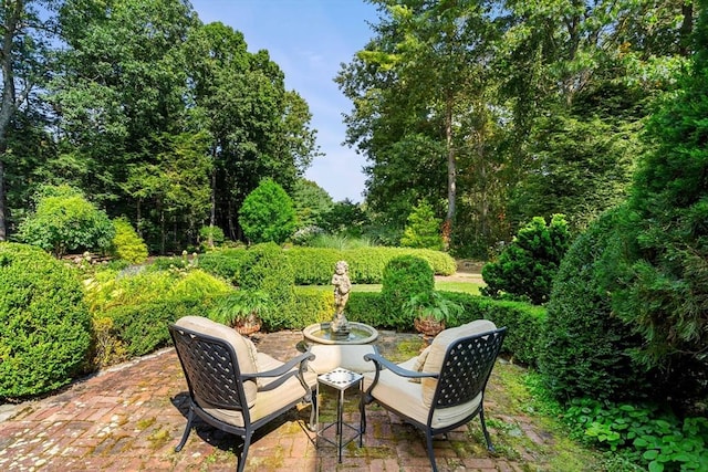view of yard featuring a patio