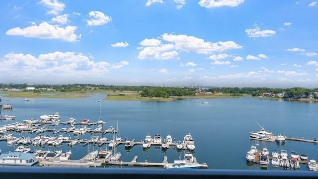 property view of water