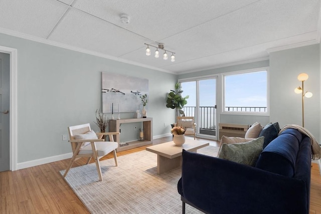 living room featuring light wood finished floors, crown molding, baseboards, and rail lighting