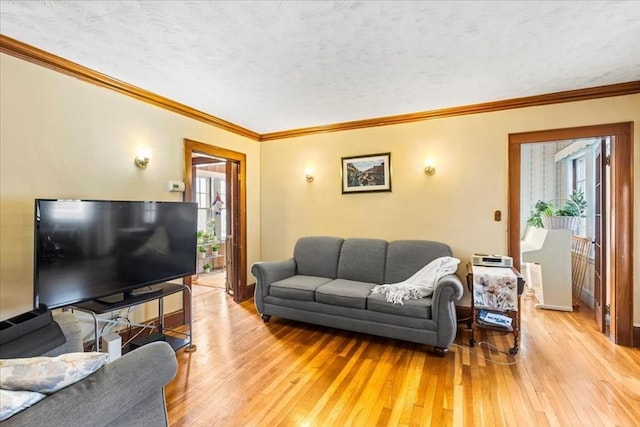 13 Conwell Ave, Somerville, MA 02144 - living room with baseboards, ornamental molding, light wood-type flooring, and a textured ceiling