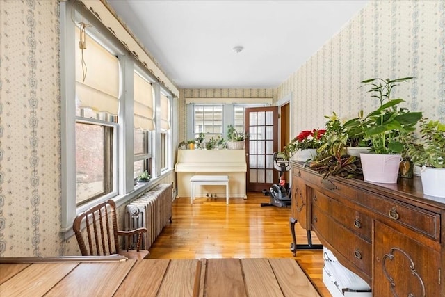 13 Conwell Ave, Somerville, MA 02144 - sunroom with wallpapered walls, wood finished floors, and radiator