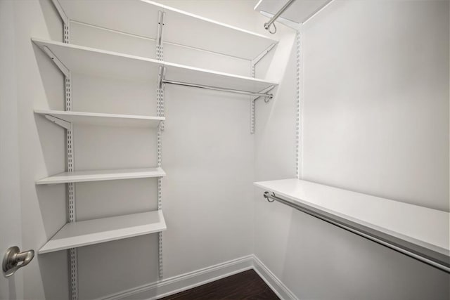 spacious closet featuring dark hardwood / wood-style flooring