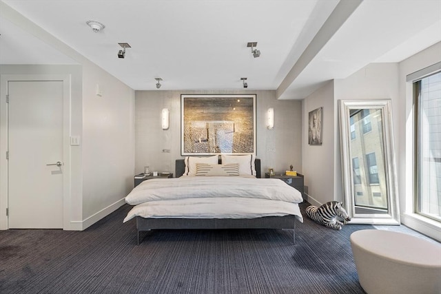carpeted bedroom featuring baseboards, multiple windows, and access to exterior