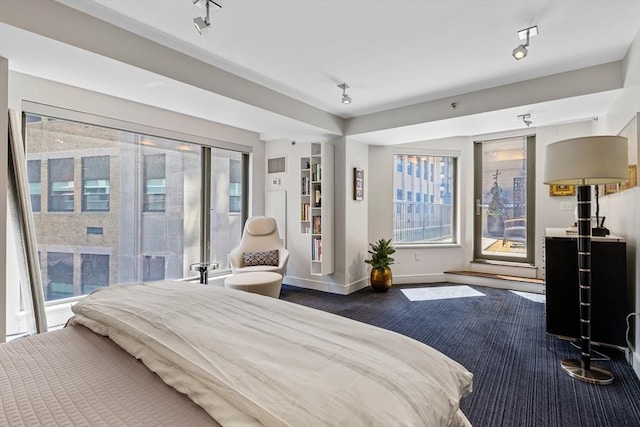 bedroom featuring rail lighting and baseboards