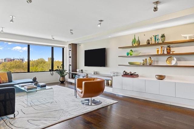 living room featuring dark wood-style floors
