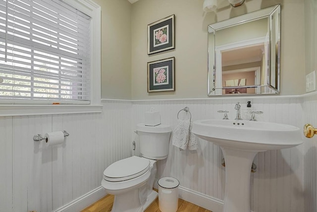 half bathroom featuring a wainscoted wall, wood finished floors, a sink, and toilet