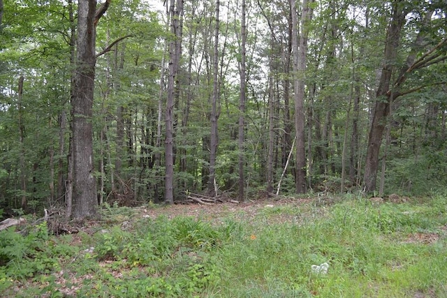 LOT1 Sandersdale Rd, Charlton, MA 01507