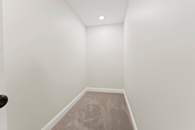 interior space with carpet floors