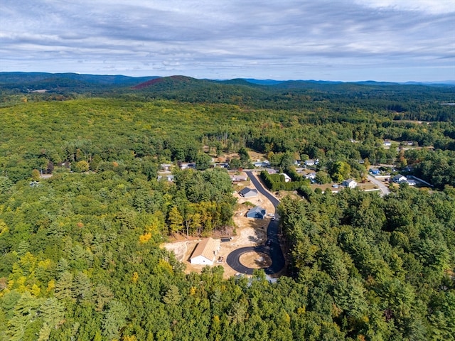 aerial view with a mountain view