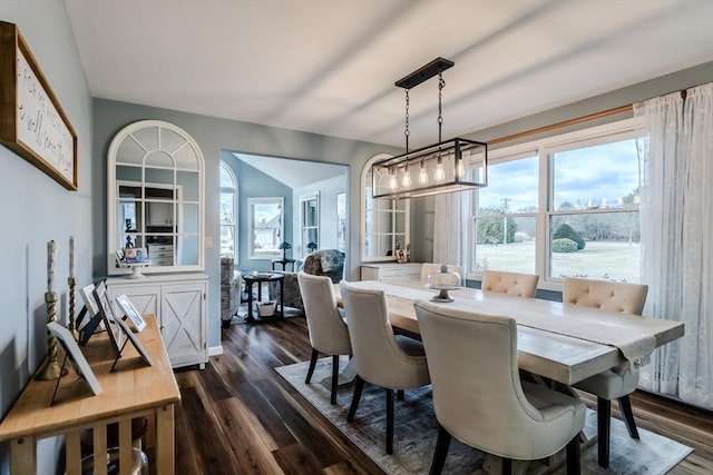 dining area with dark wood-type flooring and a healthy amount of sunlight