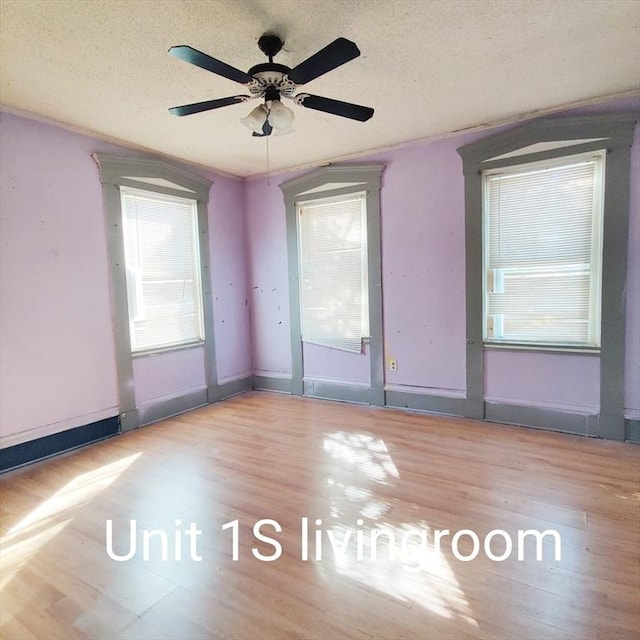 spare room with a wealth of natural light, baseboards, light wood finished floors, and a textured ceiling