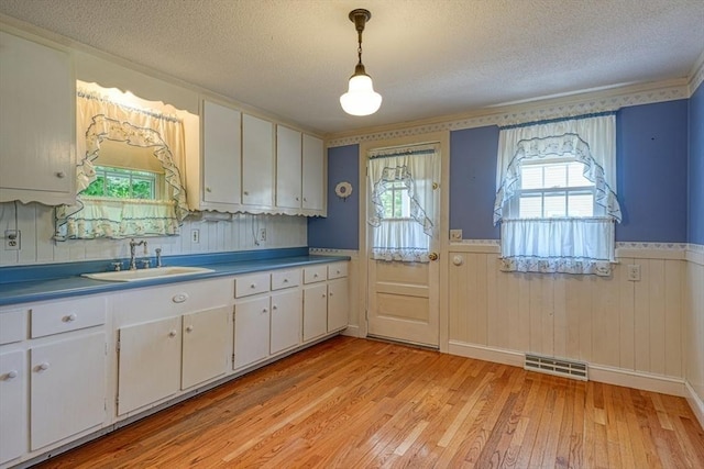 22 Willis Lake Dr, Sudbury, MA 01776 - kitchen with wainscoting, light wood finished floors, a textured ceiling, healthy amount of natural light, and white cabinets