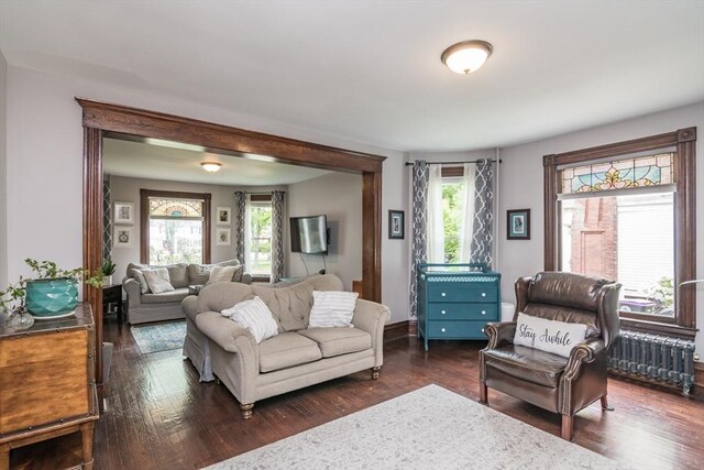 61 Fairfield Ave, Holyoke, MA 01040 - living room featuring dark wood finished floors and radiator