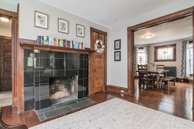 61 Fairfield Ave, Holyoke, MA 01040 - living area with wood finished floors, plenty of natural light, radiator, and baseboards