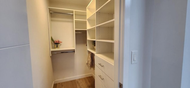 spacious closet with wood finished floors